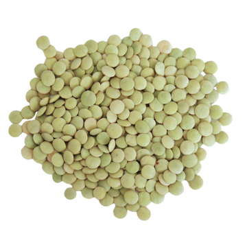 Yeşil Mercimek (1 kg)