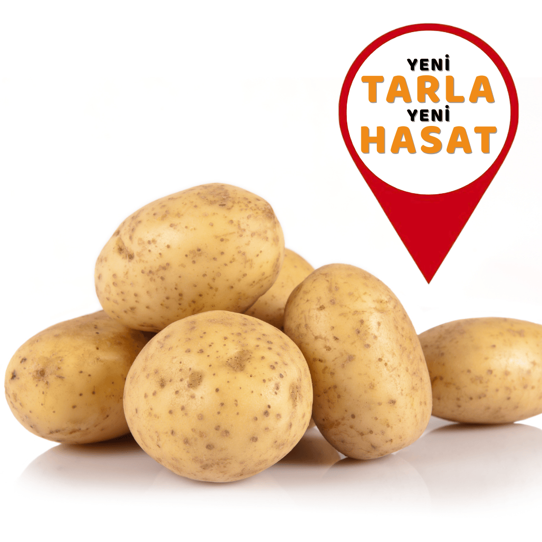Patates (Yeni Hasat)