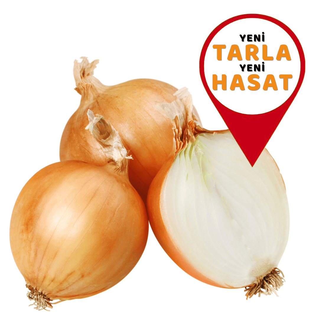 Kuru Soğan (Yeni Sezon)